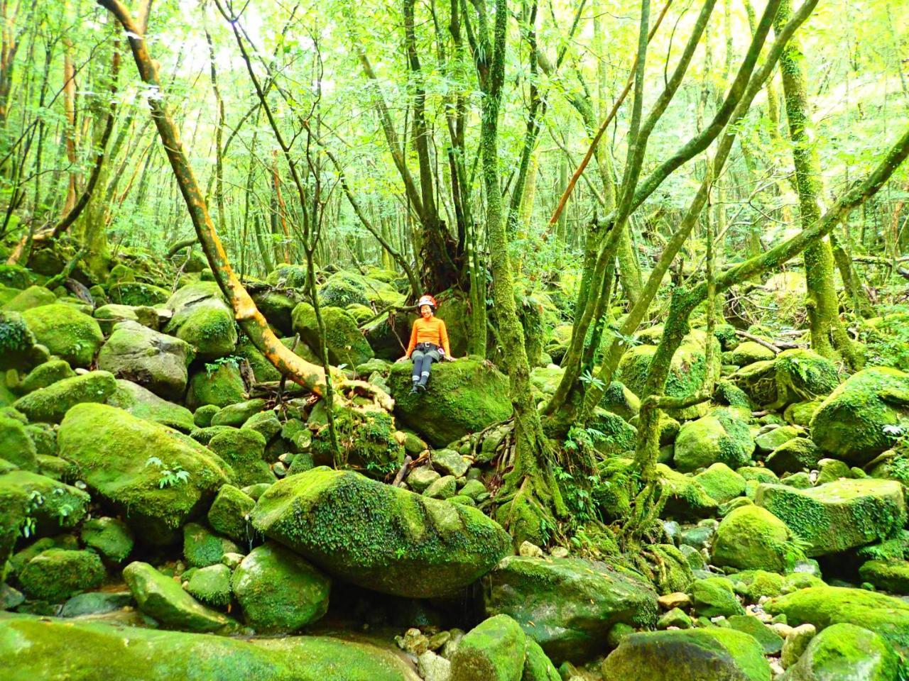 Yakushima Cottage Morino Fairy All Cotage With Open-Air Bath Kültér fotó