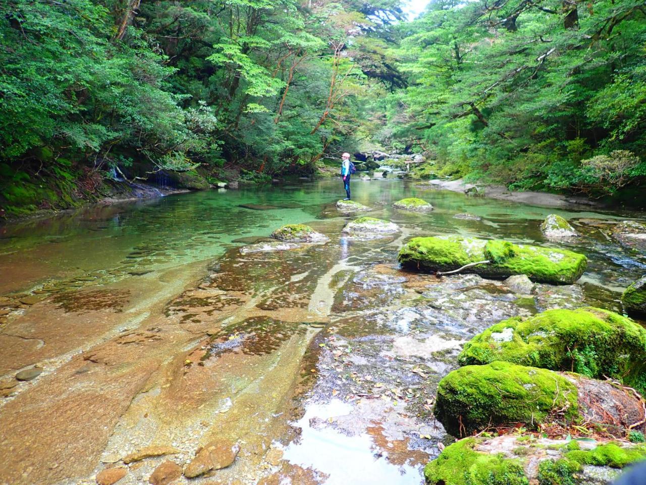 Yakushima Cottage Morino Fairy All Cotage With Open-Air Bath Kültér fotó