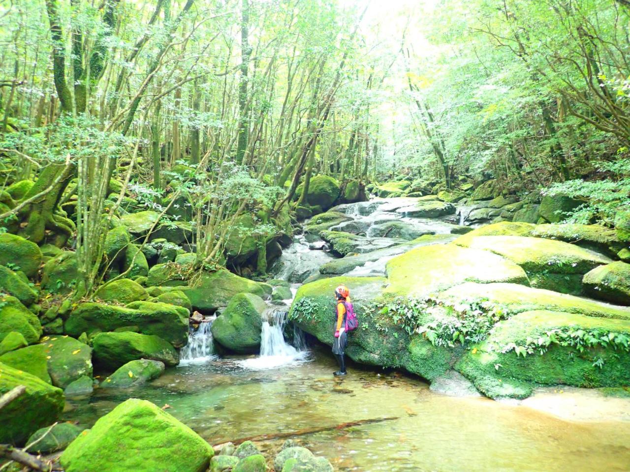 Yakushima Cottage Morino Fairy All Cotage With Open-Air Bath Kültér fotó